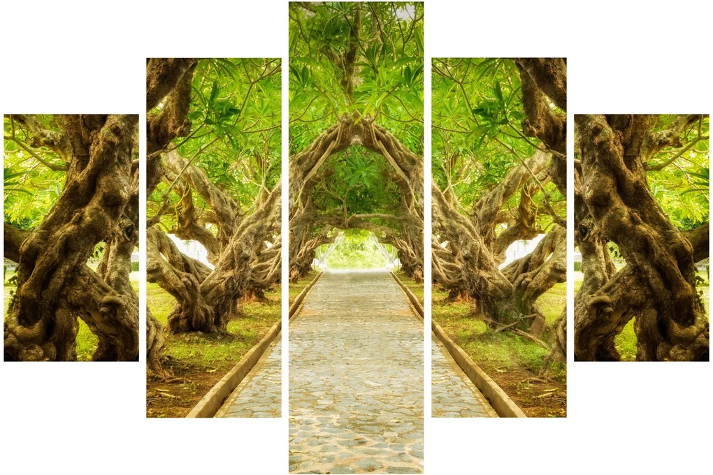 Obraz - Živý tunel z plumérií (150x105 cm)