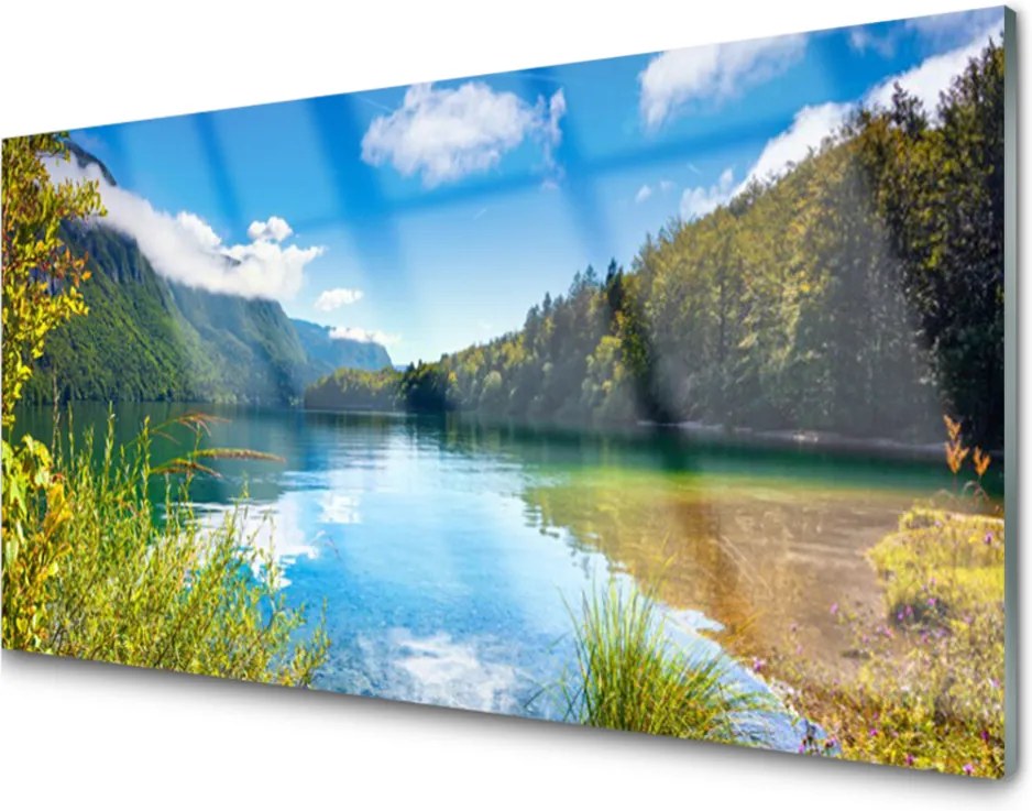 Skleněný obraz Hory Les Príroda Jazero