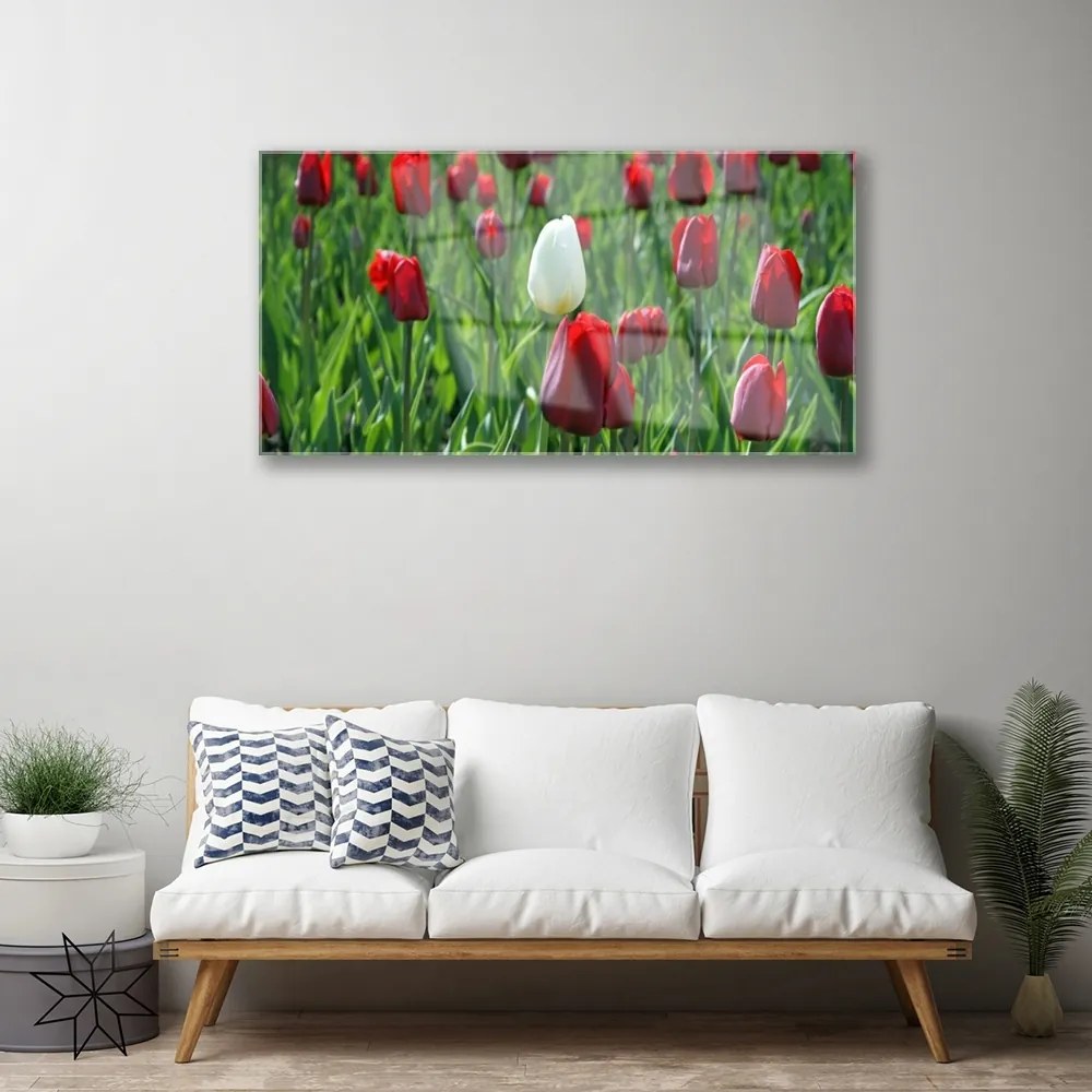 Skleneny obraz Tulipány kvety príroda 120x60 cm