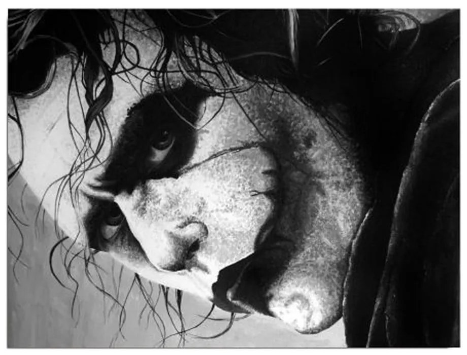 Nástenný obraz na plátne Joker, 40 × 30 cm