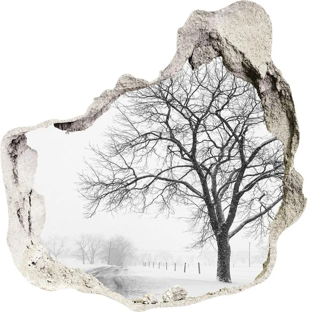 Nálepka fototapeta 3D výhľad Strom zima WallHole-75x75-piask-80032038