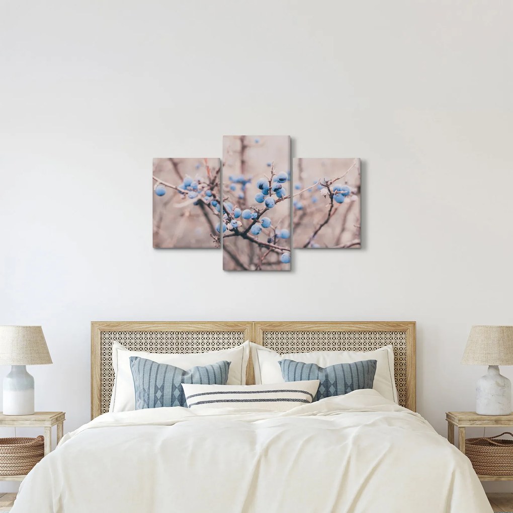 Obraz bobúľ na kríku (90x60 cm)