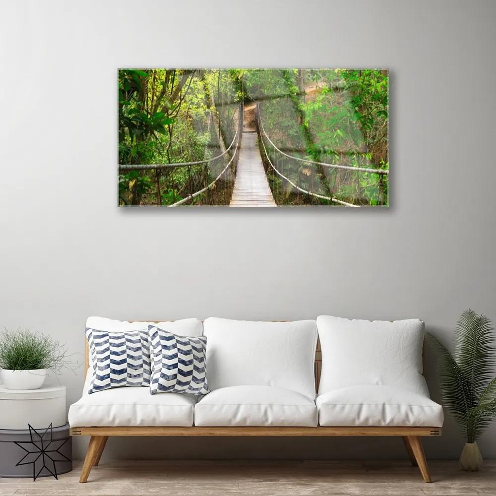 Skleneny obraz Most džungľa tropický les 120x60 cm