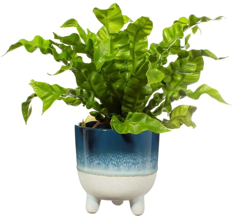 Modrý kvetináč Sass &amp; Belle Bohemian Home Mojave, ø 11,7 cm