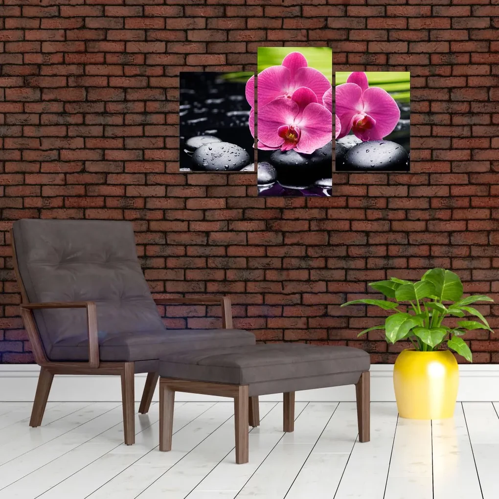 Obraz - Ružové orchidey s palmovým listom (90x60 cm)