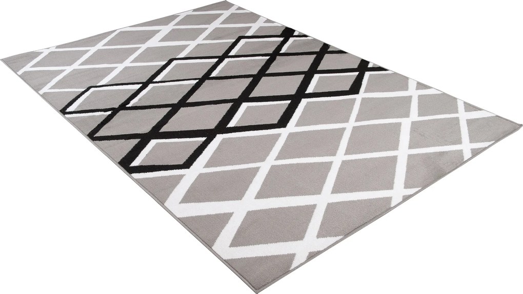TA Koberec T237B GRAY LUXURY PP ESM Sivý Obdĺžnikový Rozmer: 220x300 cm
