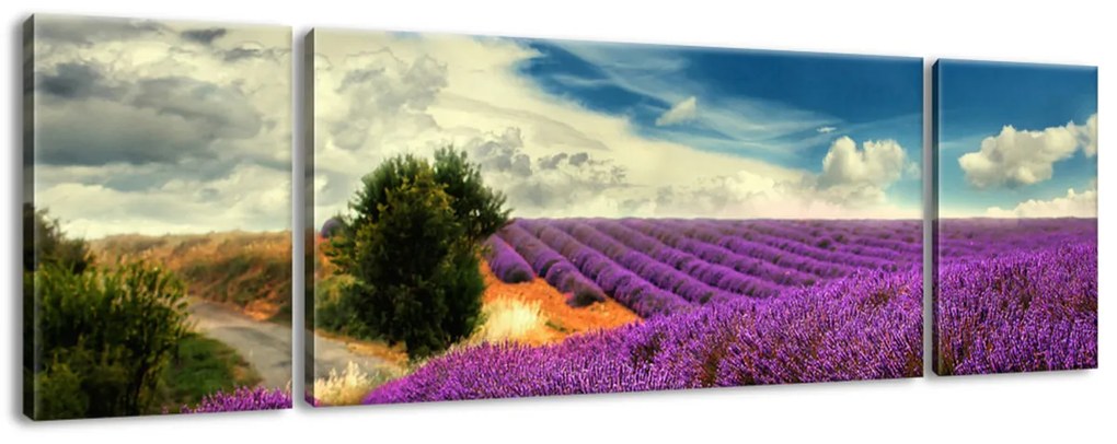 Gario Obraz na plátne Čarovná levanduľová krajina - 3 dielny Rozmery: 90 x 30 cm