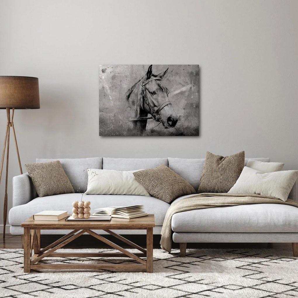 Obraz - Portrét koňa (70x50 cm)