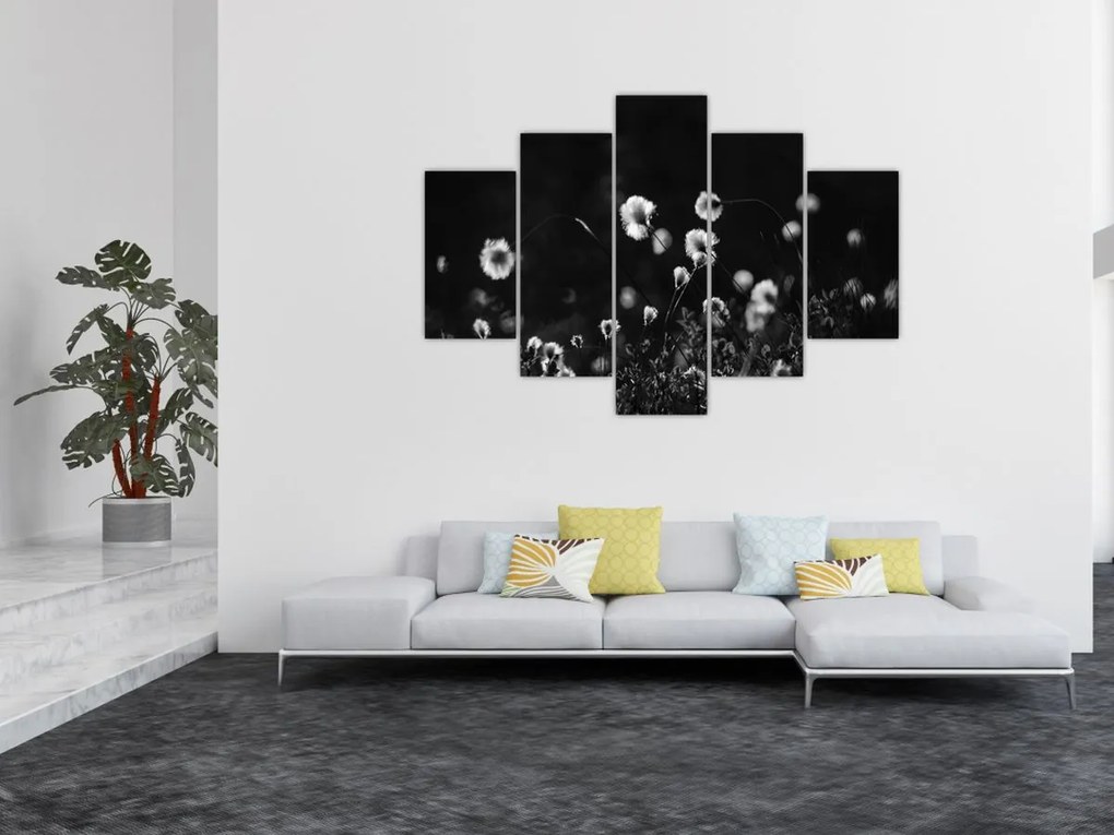 Obraz - Lúka s cottongrass N⁰1 (150x105 cm)