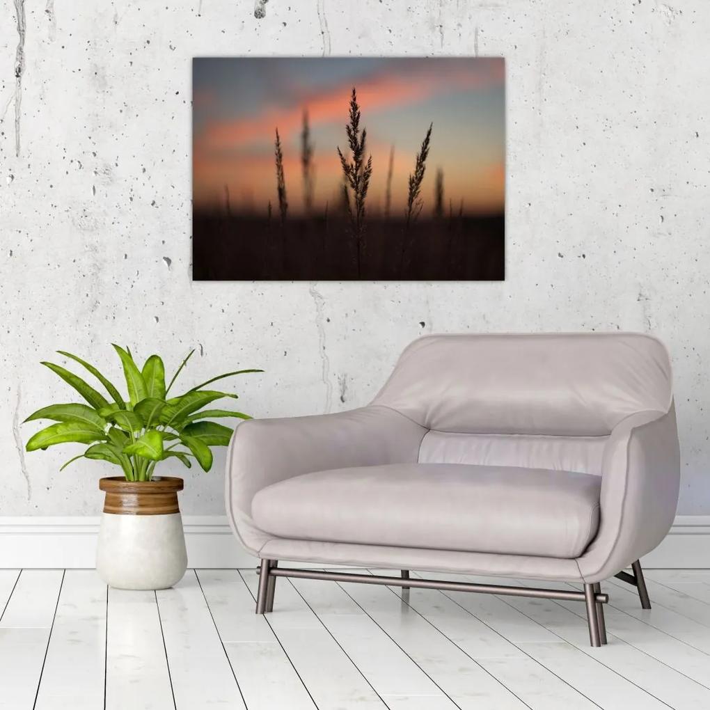 Sklenený obraz - Silueta rastliny (70x50 cm)