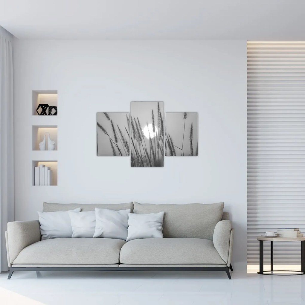 Obraz - Lúka pri západe slnka (90x60 cm)