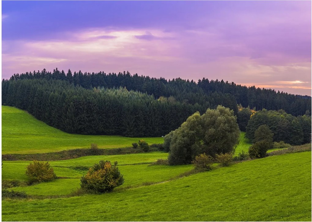 Sklenený obraz lúky (70x50 cm)