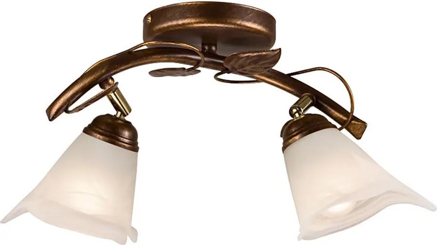 Bodové svietidlo IVY 2xE14/40W/230V