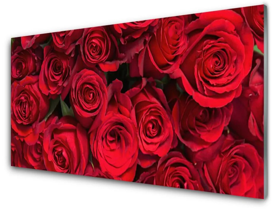 Sklenený obklad Do kuchyne Červené ruže kvety príroda 120x60 cm