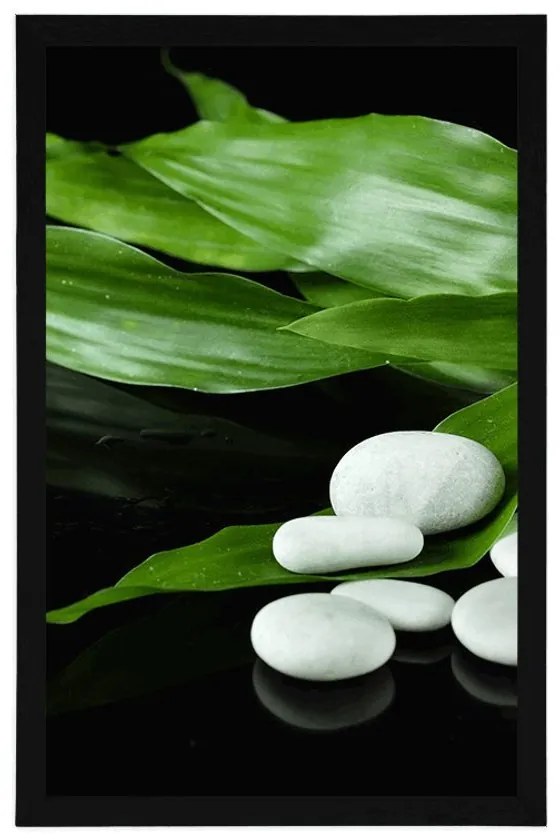Plagát prírodná terapia - 60x90 silver