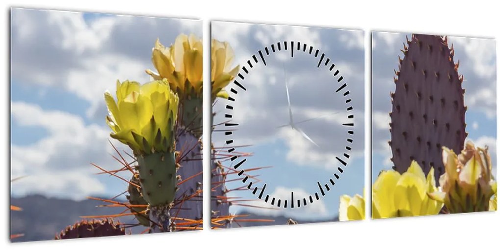 Obraz opuncie (s hodinami) (90x30 cm)