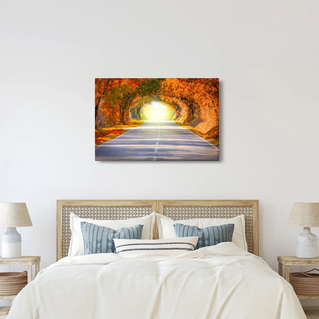 Obraz - Brána z korún stromov (90x60 cm)