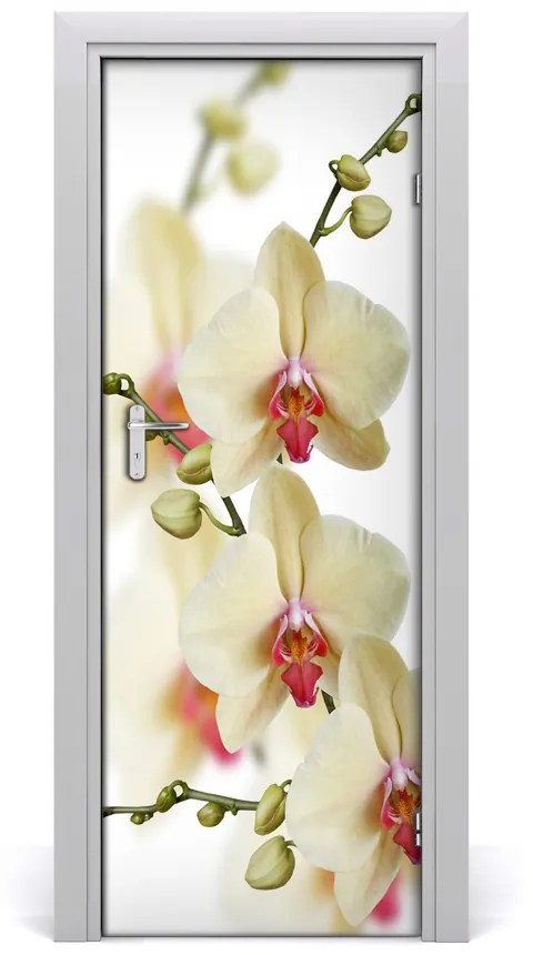 Samolepiace fototapety na dvere orchidea 75x205 cm