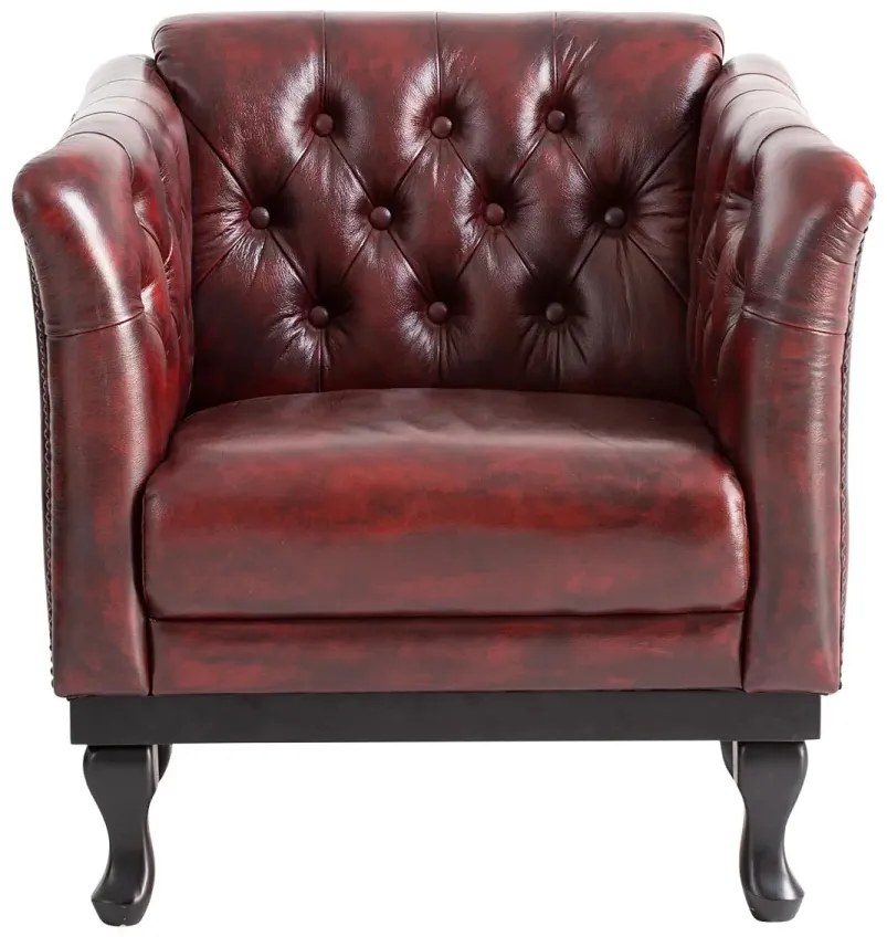 furniture-nabytek.cz - Masivní křeslo Chesterfield Dover z pravé kůže, červené