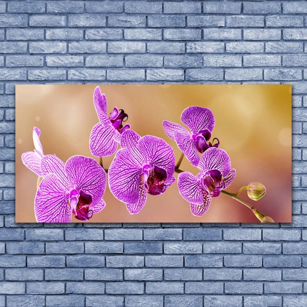 Obraz plexi Orchidea výhonky kvety príroda 120x60 cm