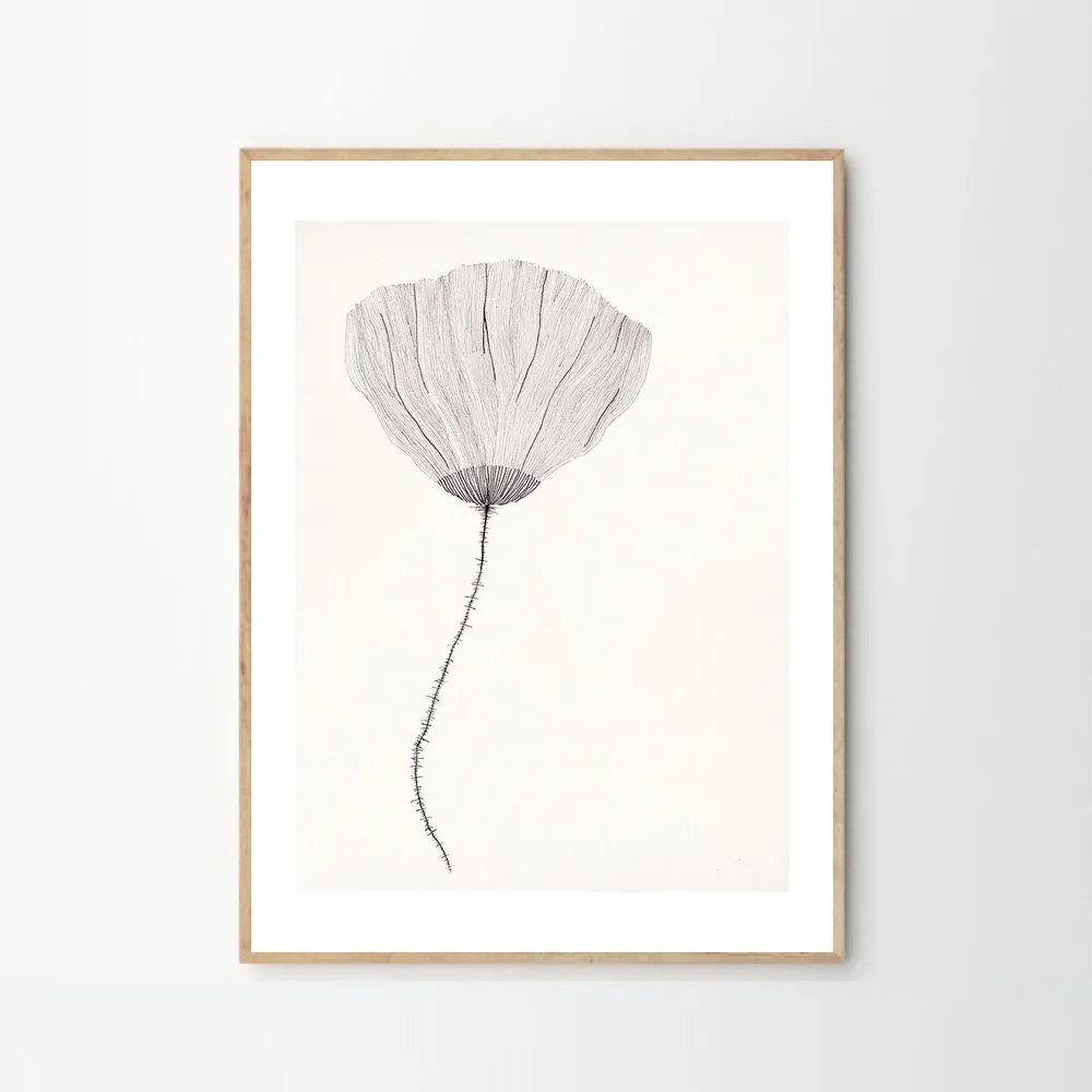 The Poster Club Plagát Poppy by Ana Frois 40x50 cm