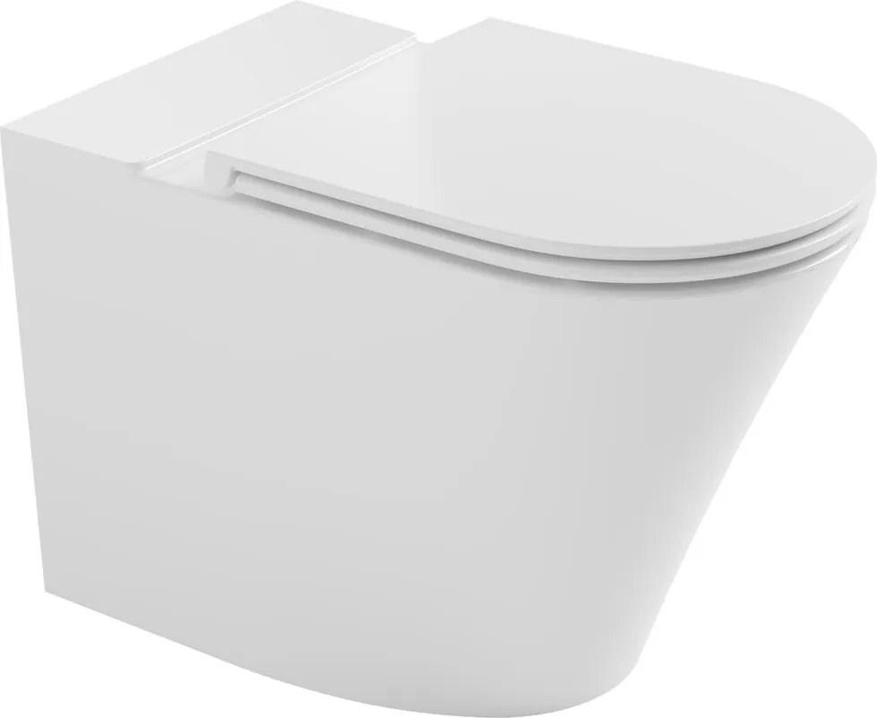 Bruckner Bruckner, FEIN misa pre kombi WC, Rimless, 61x36cm, spodný/zadný odpad, biela, 201.424.4