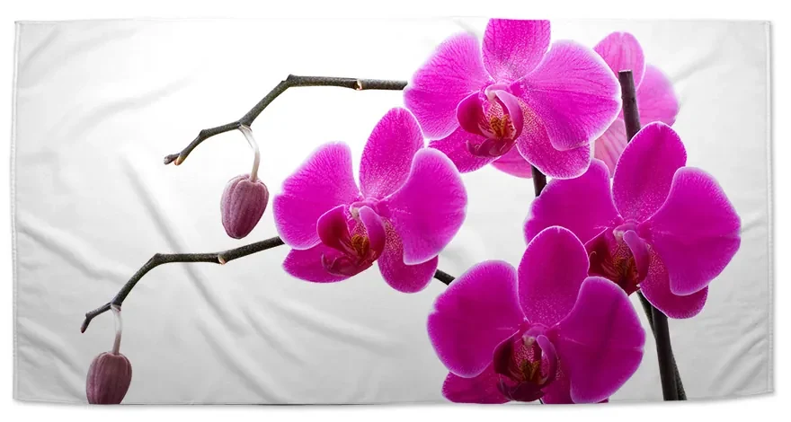 Sablio Uterák Fialové orchidey - 50x100 cm