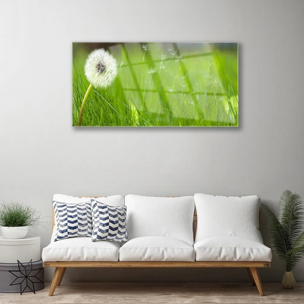 Obraz na skle Púpava tráva rastlina 140x70 cm