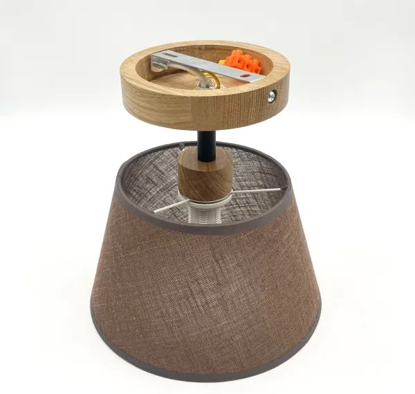 Brilagi - LED  Prisadený luster ANTHONY 1xE14/60W/230V dub/hnedá