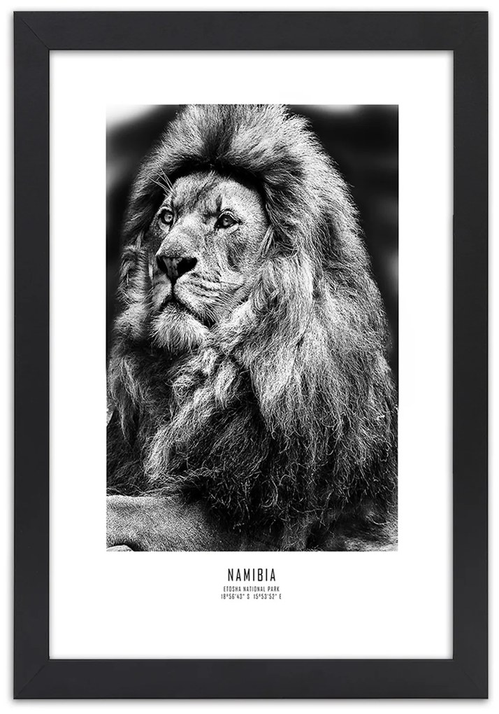 Gario Plagát Symbol Afriky Farba rámu: Bez rámu, Rozmery: 40 x 60 cm