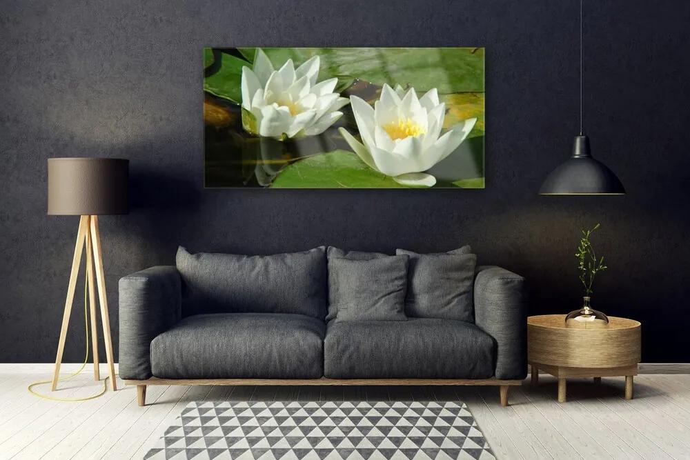 Obraz plexi Kvety rastliny príroda 120x60 cm