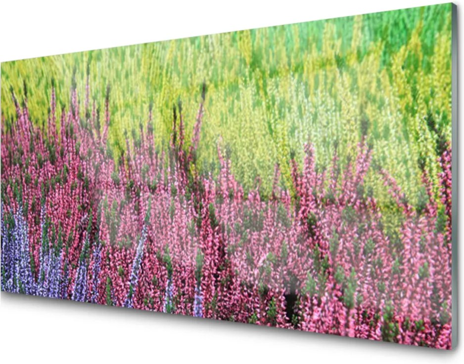 Obraz na skle Kvet Rastlina Príroda