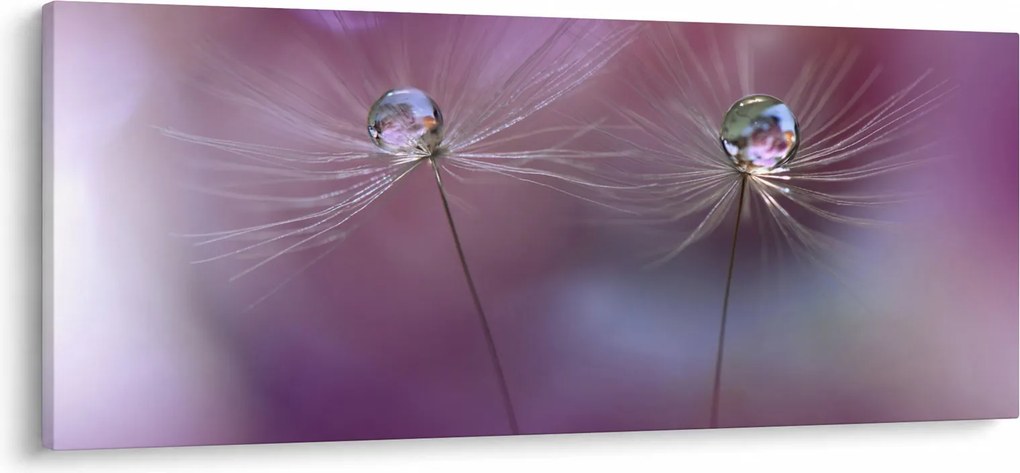 Obraz kvapôčok na páperí (120x50 cm)