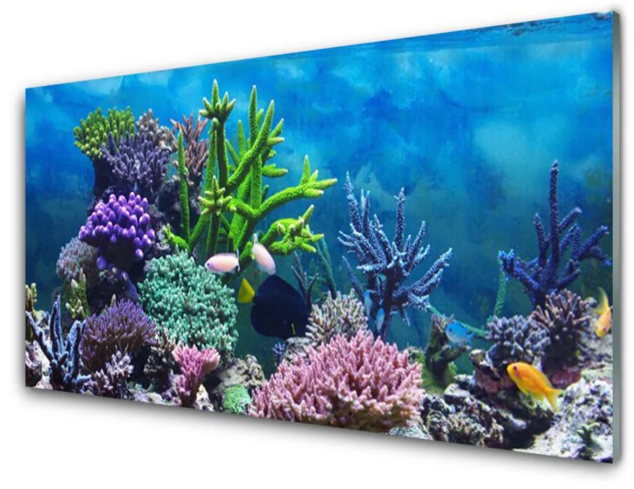 Skleneny obraz Akvárium rybičky pod vodou 100x50cm