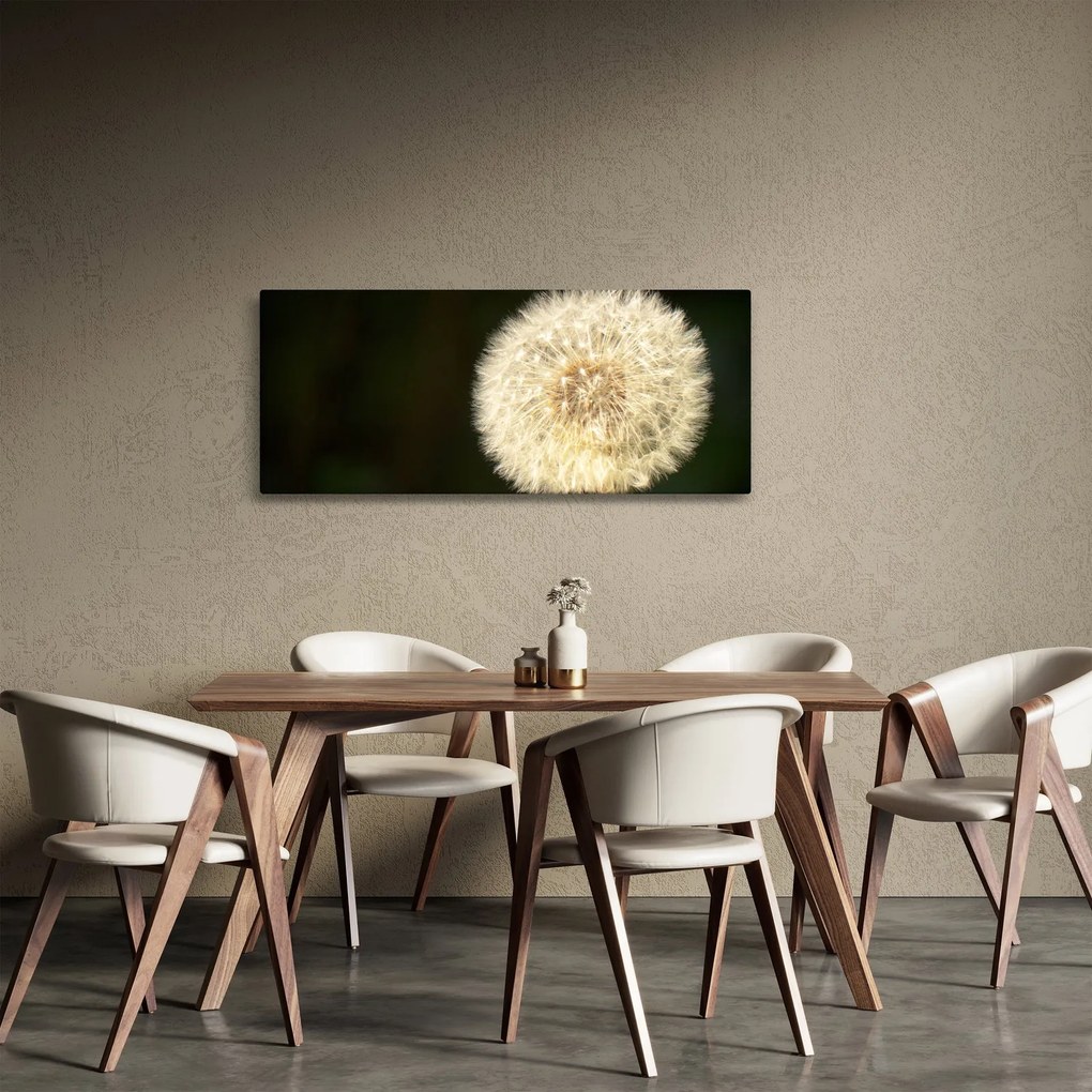 Obraz sivej púpavy (120x50 cm)