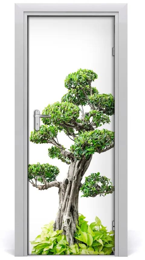 Fototapeta samolepiace bonsai 95x205 cm