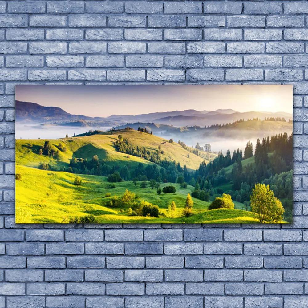 Obraz na akrylátovom skle Hora pole hmla príroda 120x60 cm