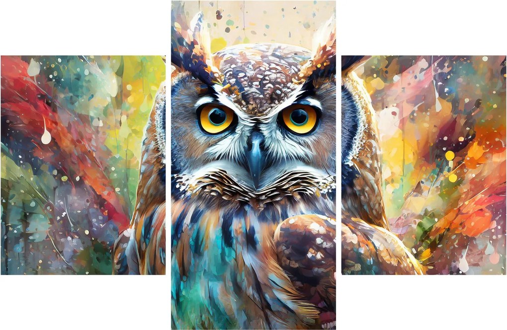 Obraz - Maľba sovy (90x60 cm)