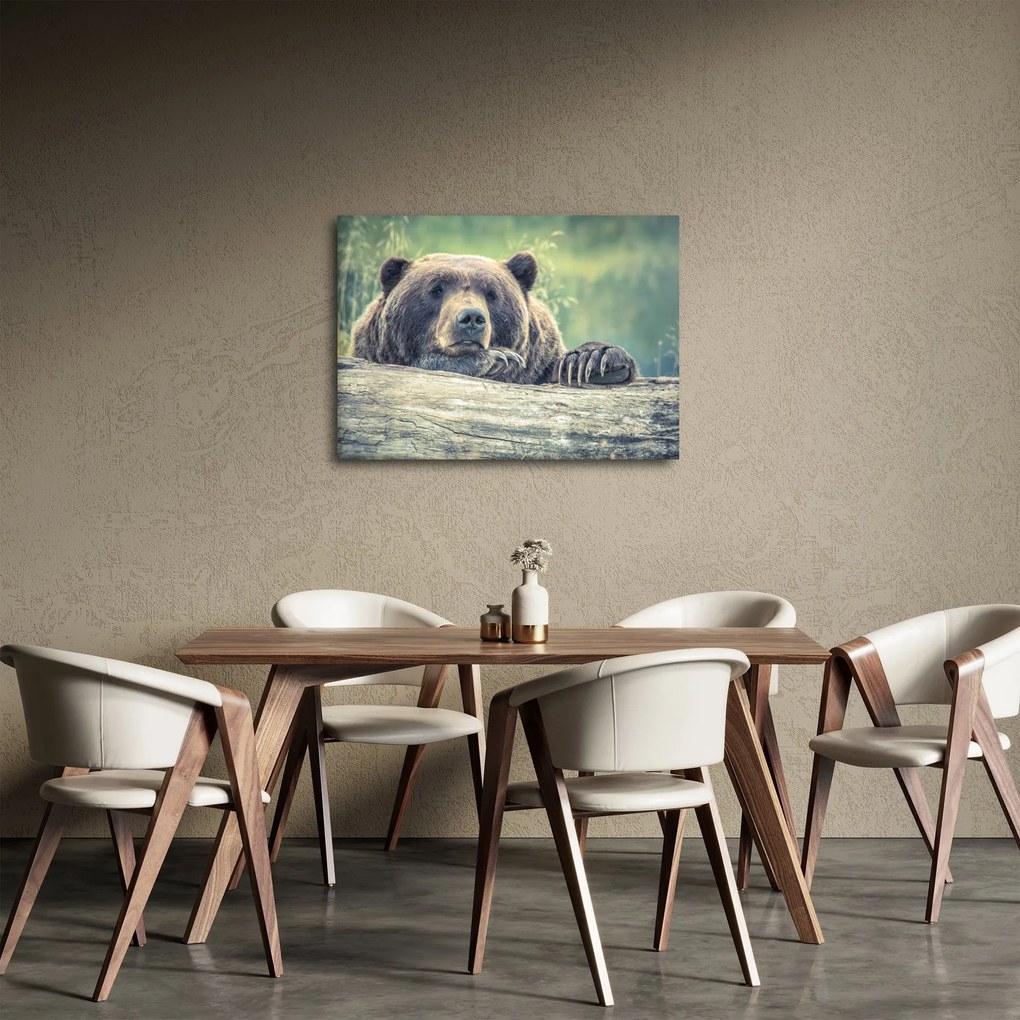 Obraz medveďa (70x50 cm)