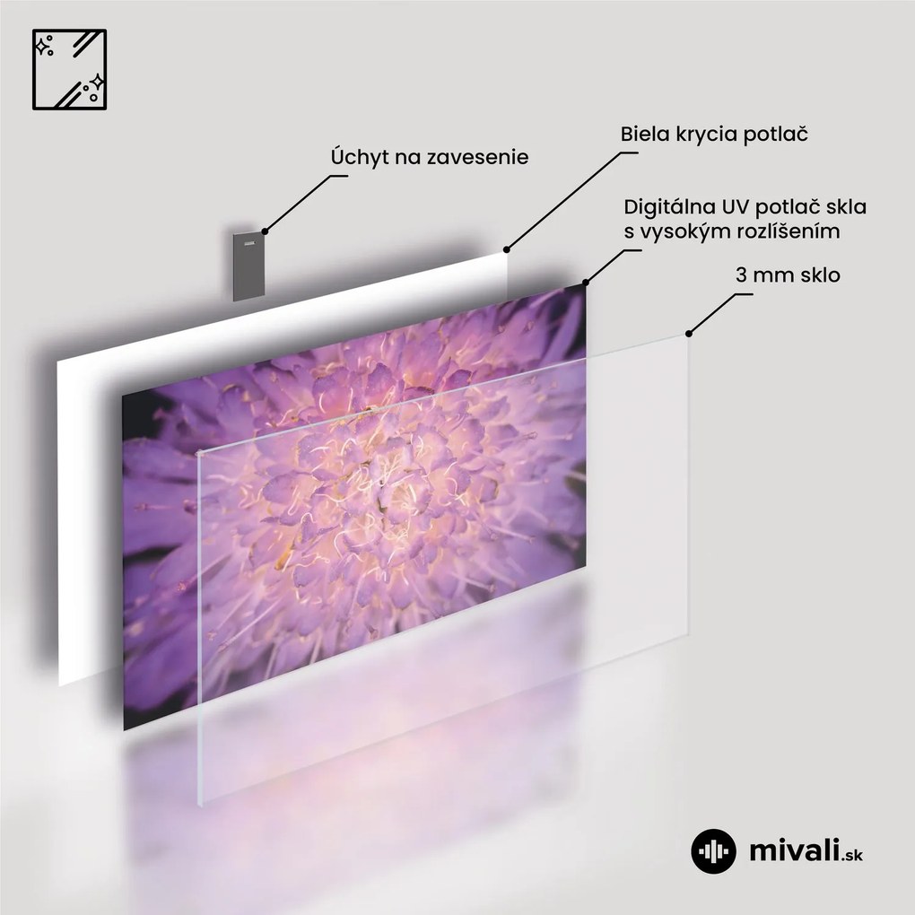 Sklenený obraz - Bonsai (70x50 cm)