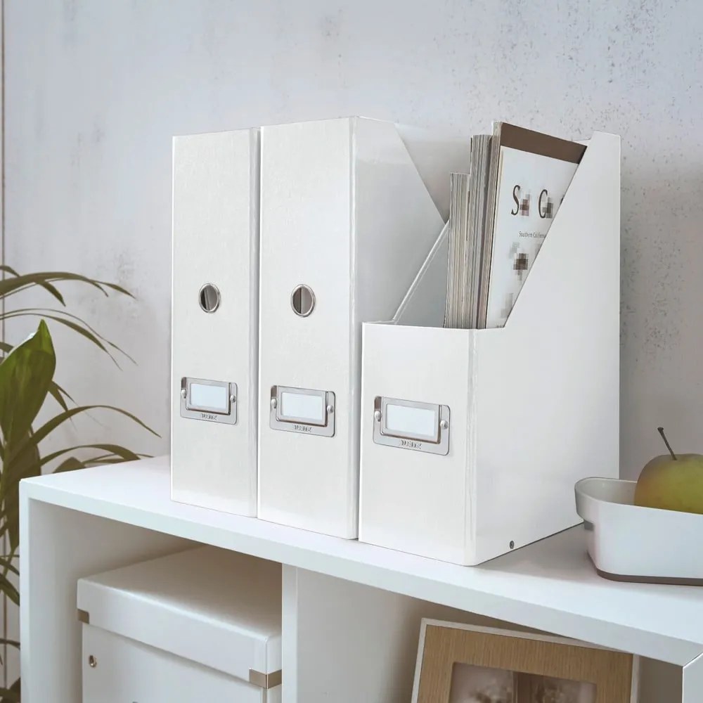 Kartónový organizér na dokumenty Click&Store – Leitz