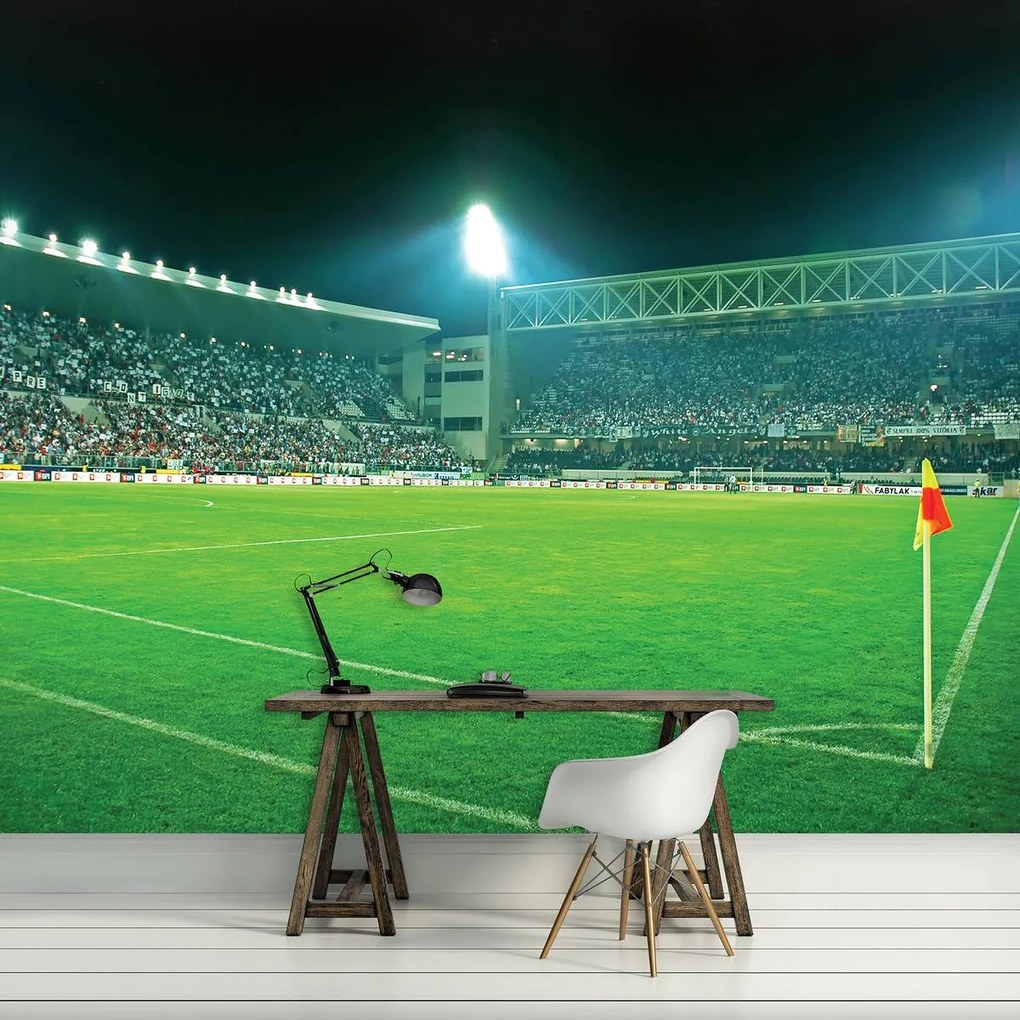 Fototapeta - Futbalové ihrisko (152,5x104 cm)