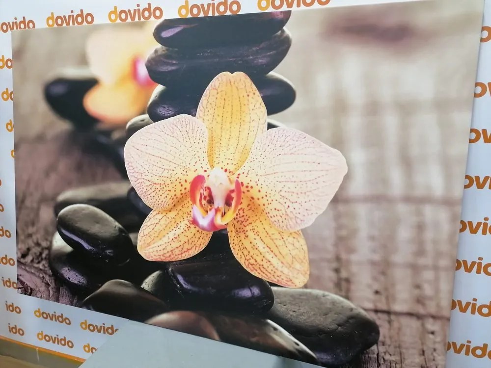 Obraz žltá orchidea a Zen kamene