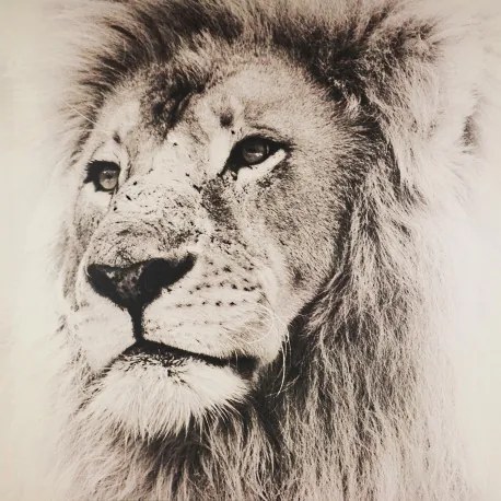 Obraz tlačený na plátne 80x80 PRC1128