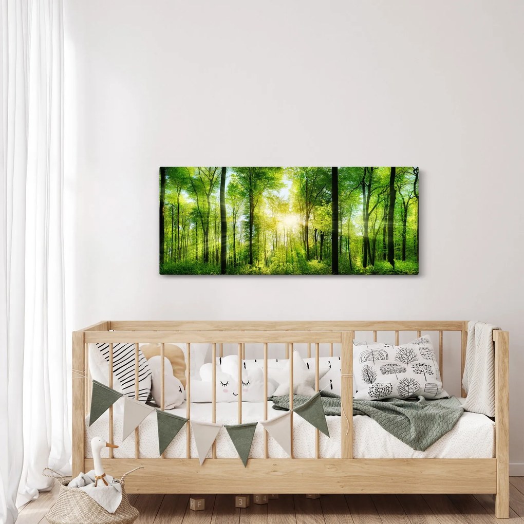 Obraz - Svitanie v lese (120x50 cm)