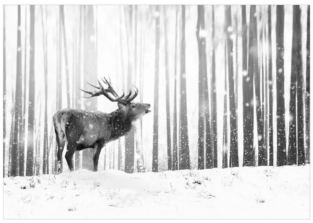 Artgeist Fototapeta - Deer in the Snow (Black and White) Veľkosť: 196x140, Verzia: Samolepiaca