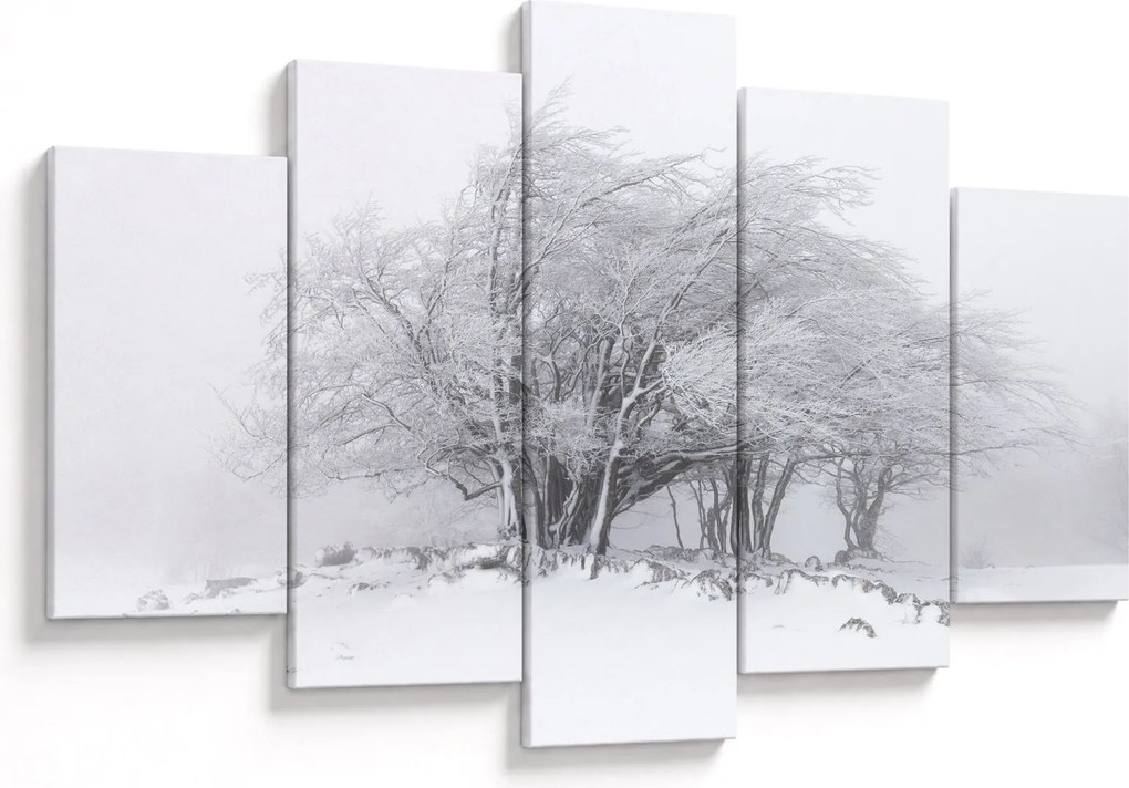 Obraz - Biela zima (150x105 cm)