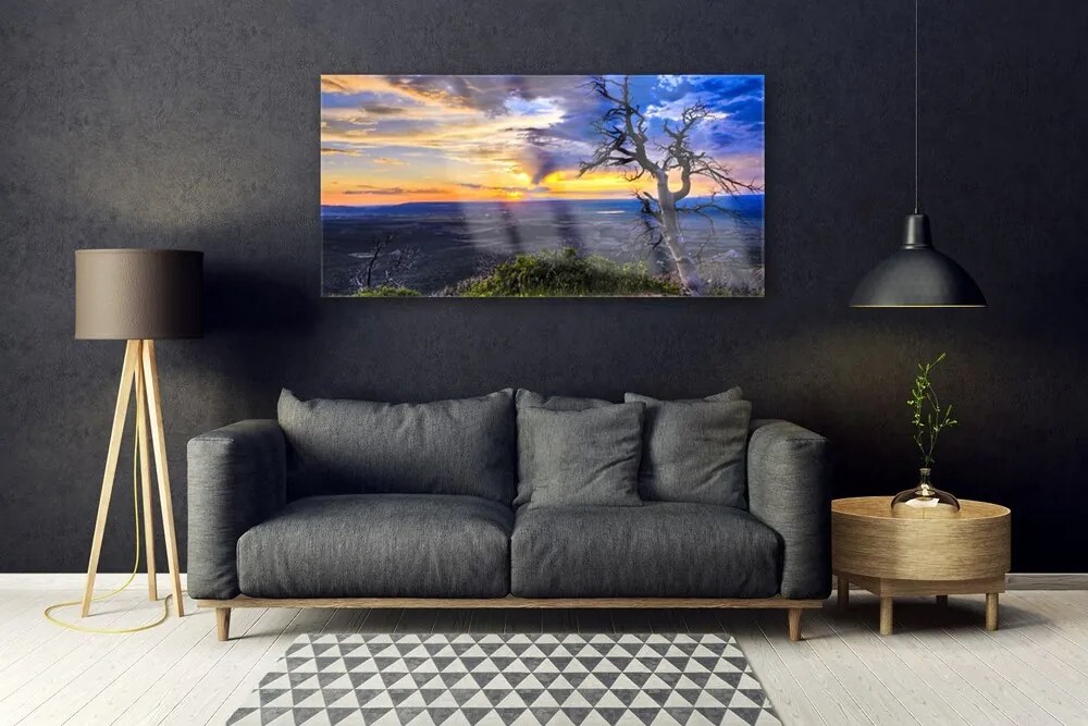 Obraz plexi Strom zápas slnko 120x60 cm