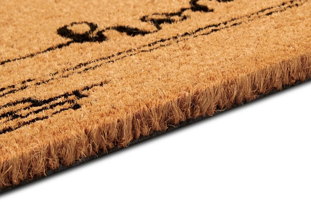 Hanse Home, Rohožka Mačka 106200 - na von aj na doma, 40x70, hnedá, chodba / predsieň