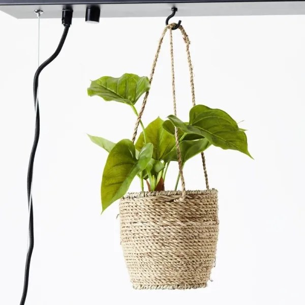 Brilliant - Závesný luster BANKWOOD 5xE27/28W/230V, topoľ